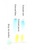Le colorant vert est formé de 2 colorants:le jaune et le bleu(pas de (...)